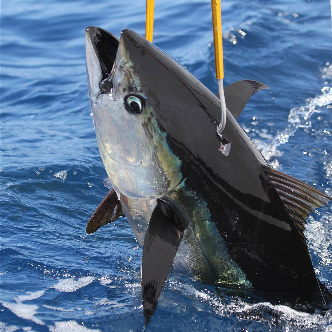 Tackle & Gear AFTCO Aluminum Fishing Gaff