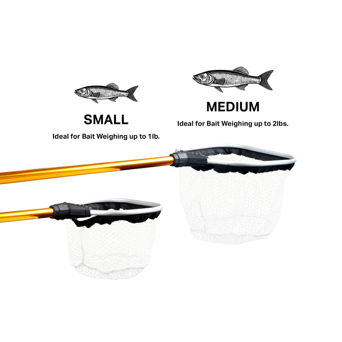Tackle & Gear AFTCO Gold Series Bait Nets - AFTCO