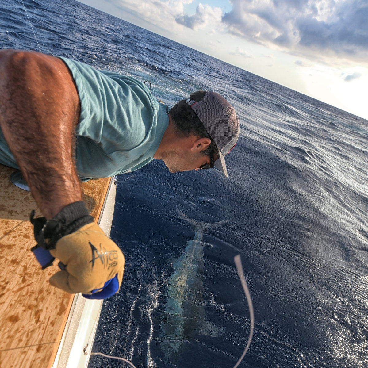 Tackle & Gear|Mens AFTCO Wire Max Salt Water Fishing Glove